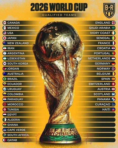 2026世界杯投注赔率解析